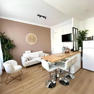 - T3 Renove De 50 M2 Classe 2 Etoiles Nice